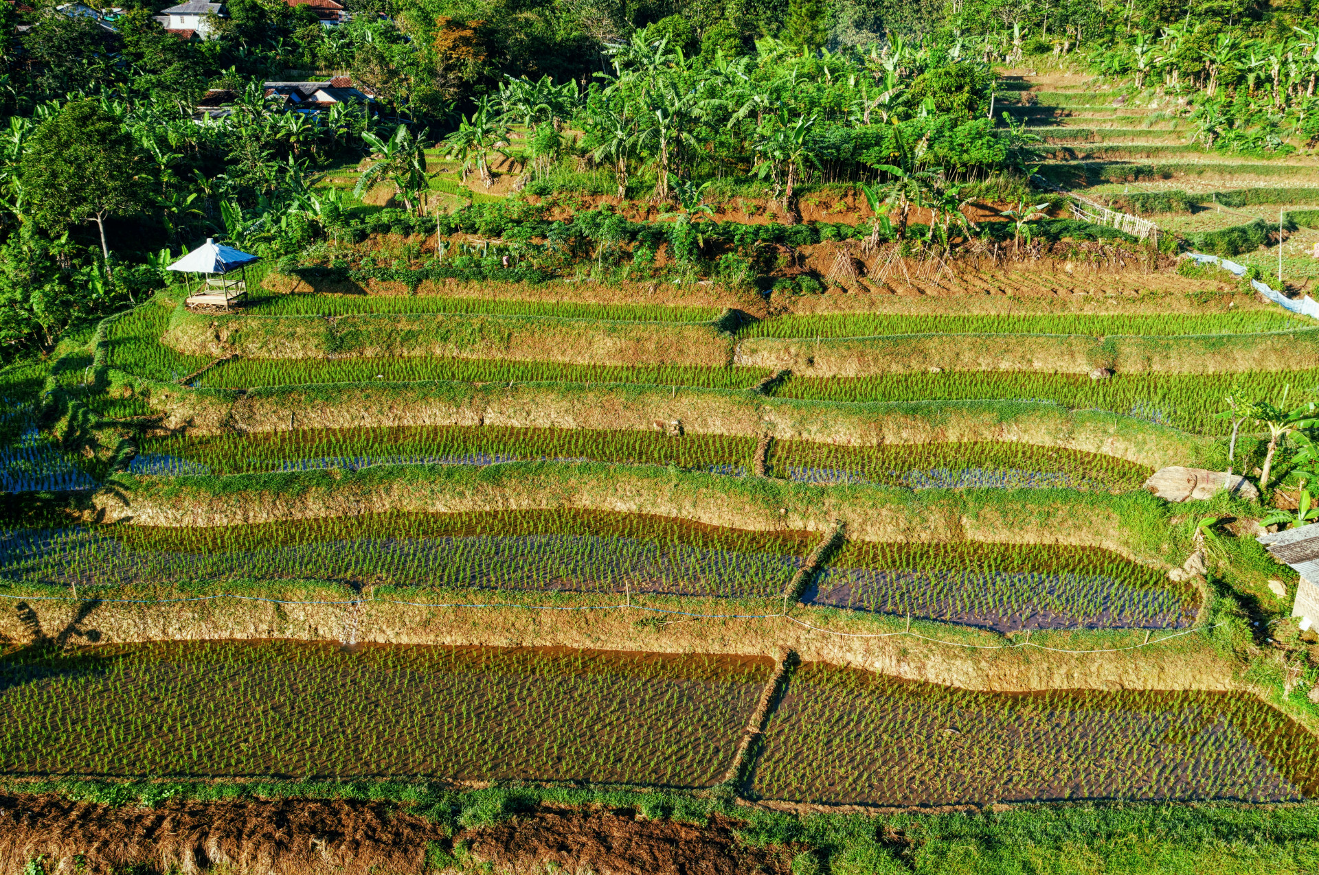 Làm thế nào để tôi nộp đơn xin chứng nhận RSPO? Một cách tiếp cận từng bước