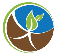 pns-leaf