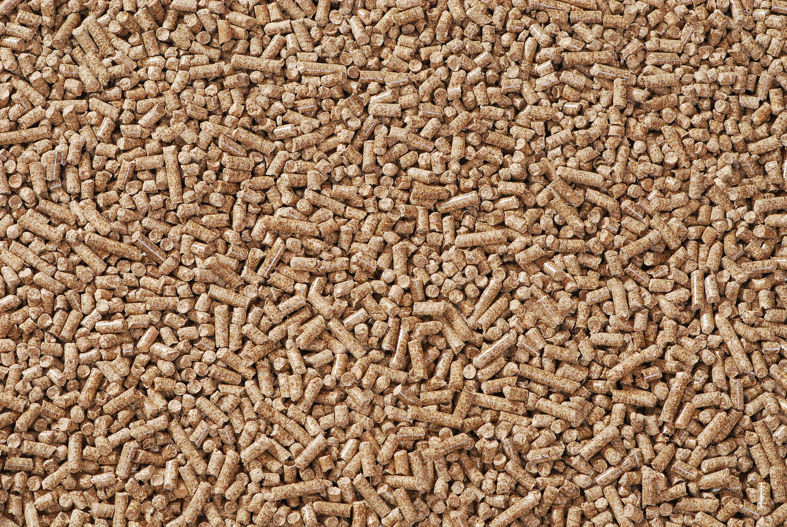 Enplus wood pellets Enplus wood pellets