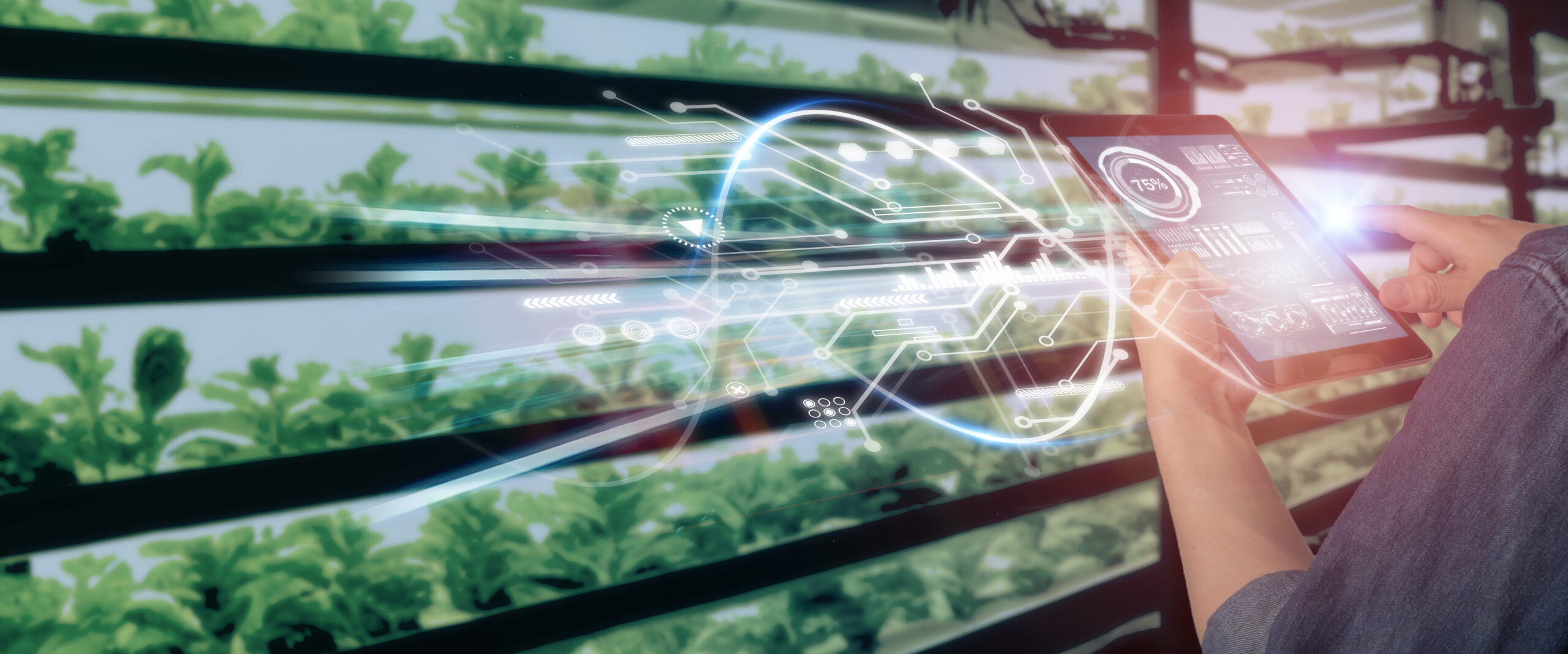 Global Sustainable Enterprise Standard® Global Sustainable Enterprise Standard®