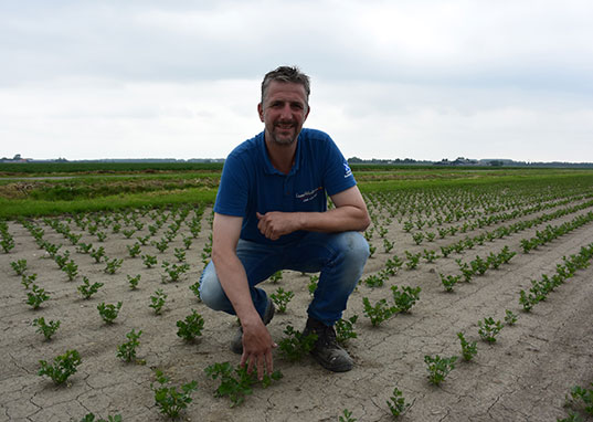 Kees – Vrolijk ipm boer