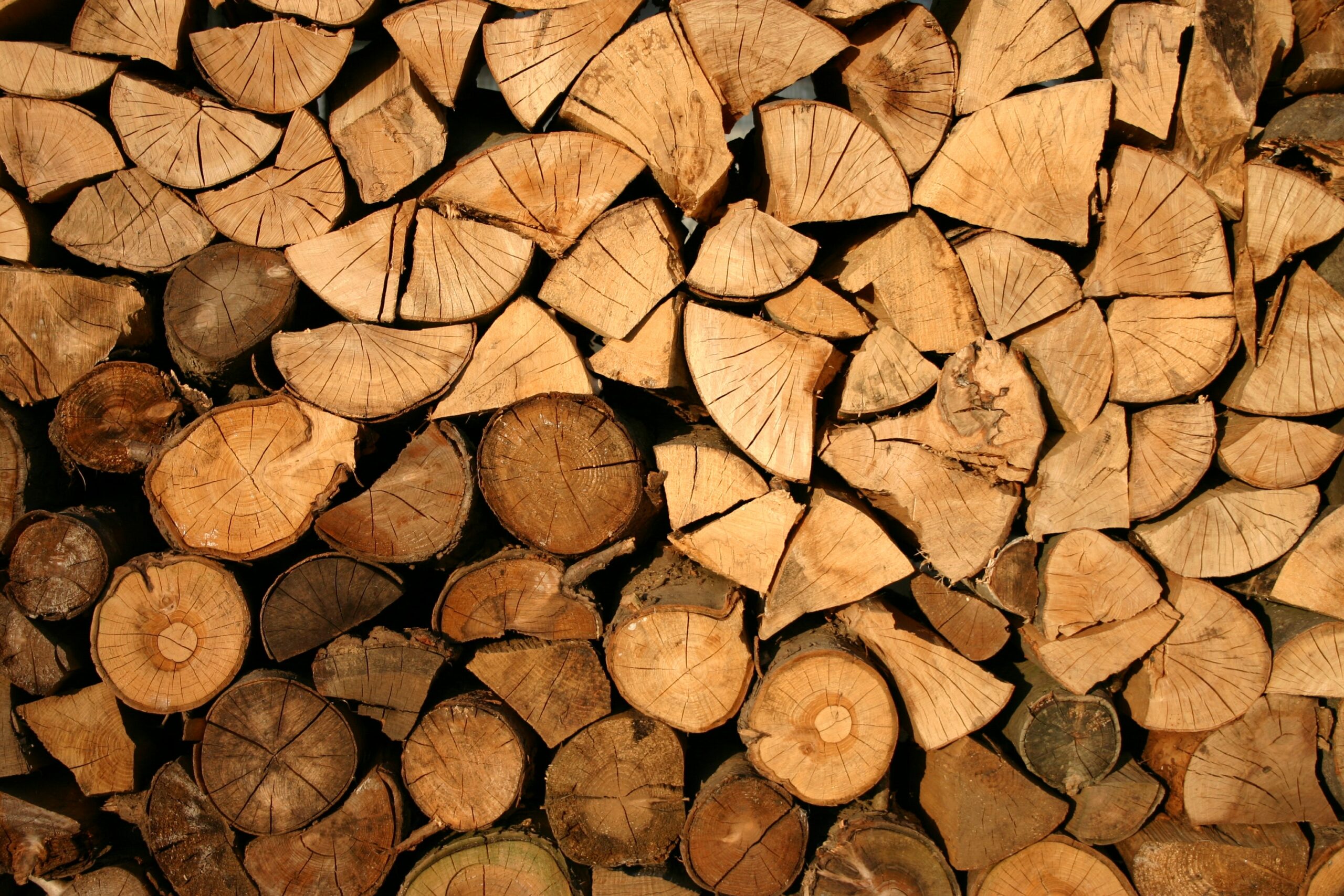 PEFC – Program for the Endorsement of Forest Certification PEFC – Program for the Endorsement of Forest Certification