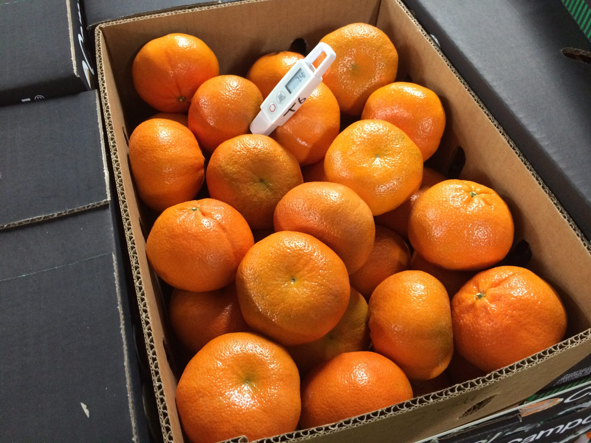 Temperatuur-2048×1536