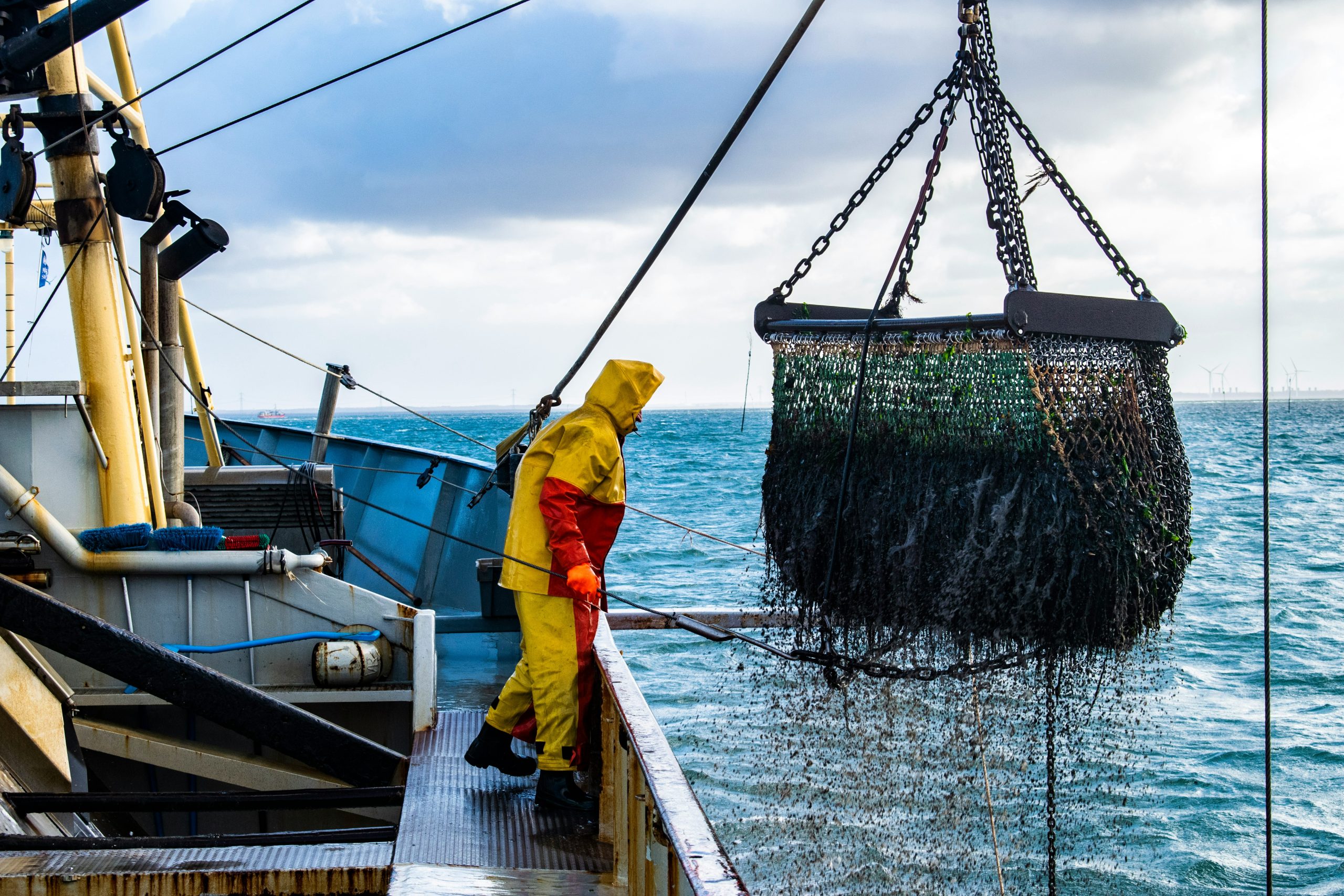 FISH-standard-for-crew