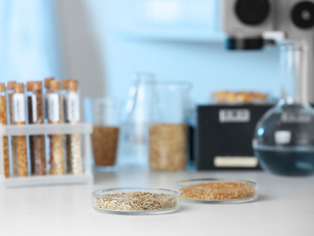 kiem nghiem vi sinh nong san