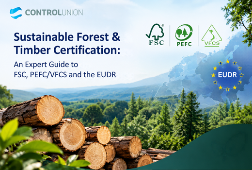 Sustainable Forest & Timber Certification: An Expert Guide to FSC, PEFC/VFCS and the EUDR