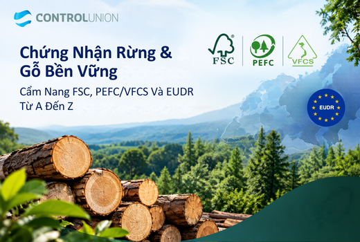 chung-nhan-rung-va-go-ben-vung