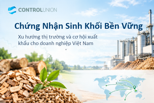 chung-nhan-sinh-khoi-ben-vung